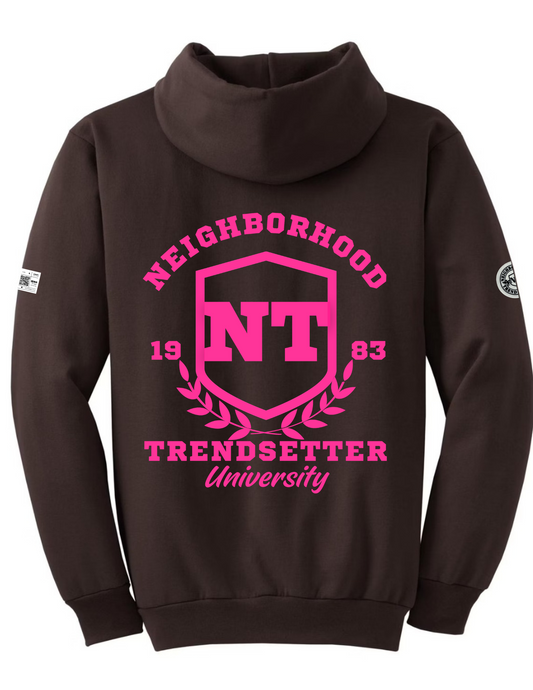 Neighborhood Trendsetter "University Campus Classic" Pullover Hoodie - Brown & Pink